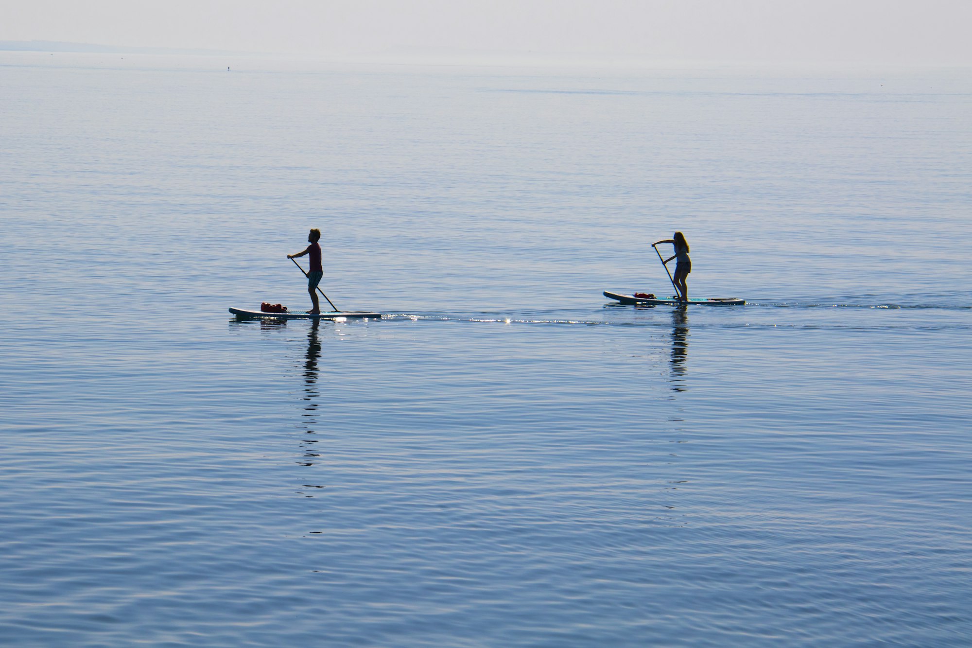 Two paddleboarders far out on a calm sea