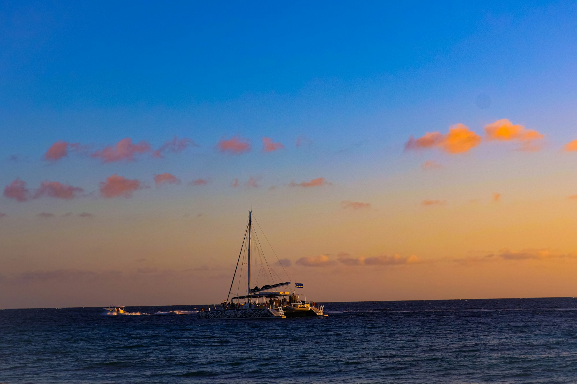 A catamaran under sail on open water at sunset
