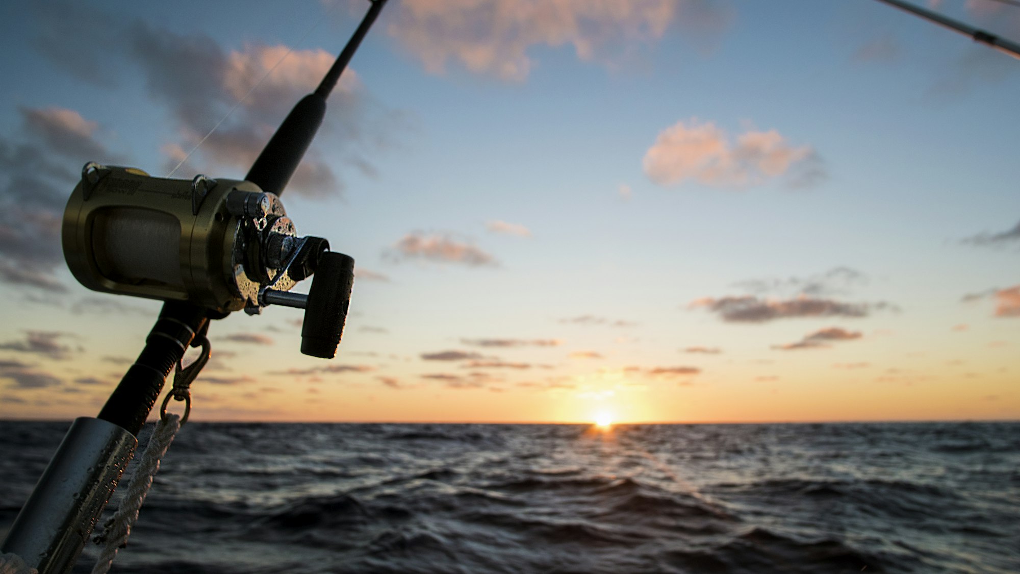Silhouette of a fishing rod facing the sunset