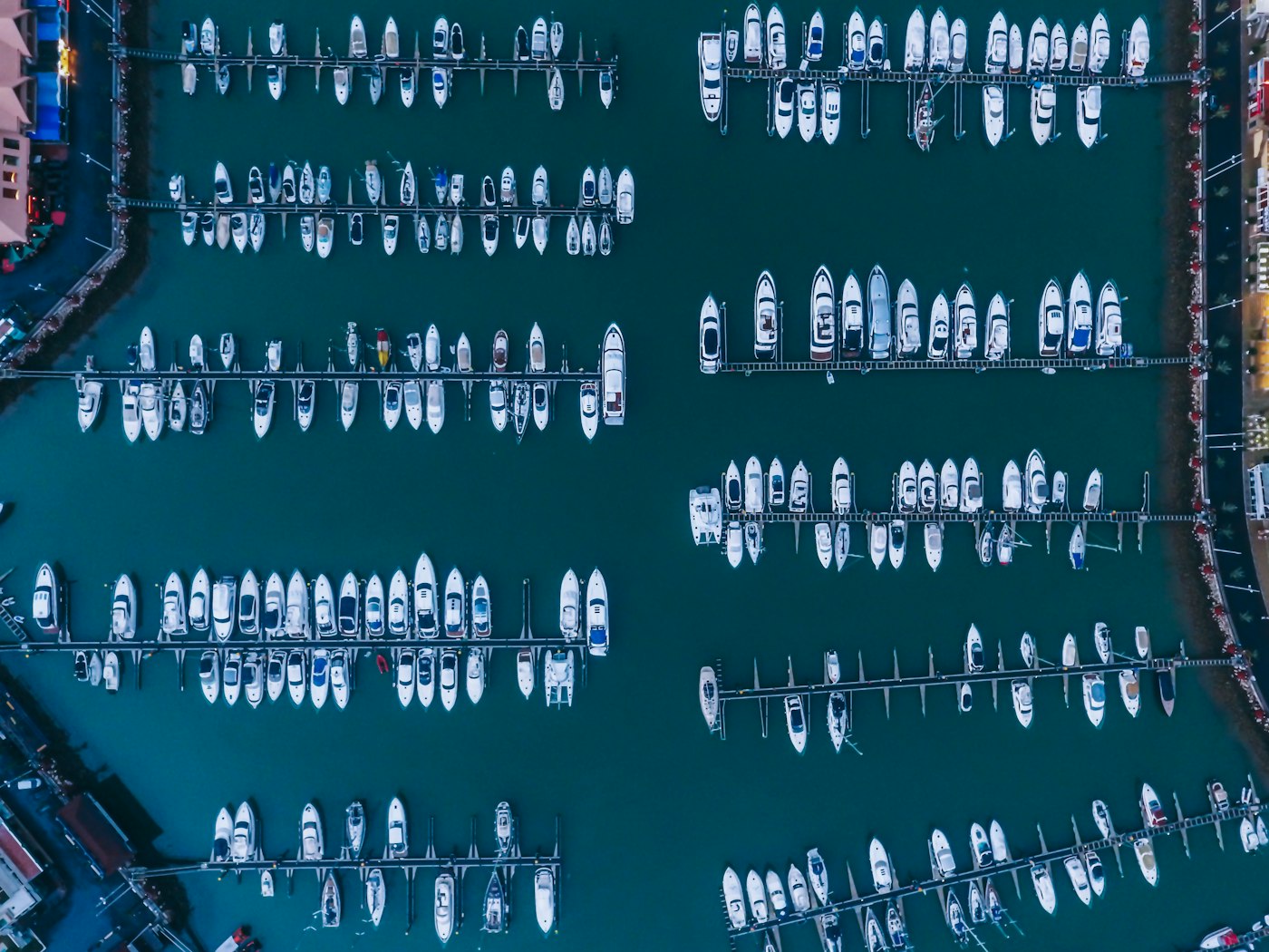 Harbor seen from above with white boats lined up on the water