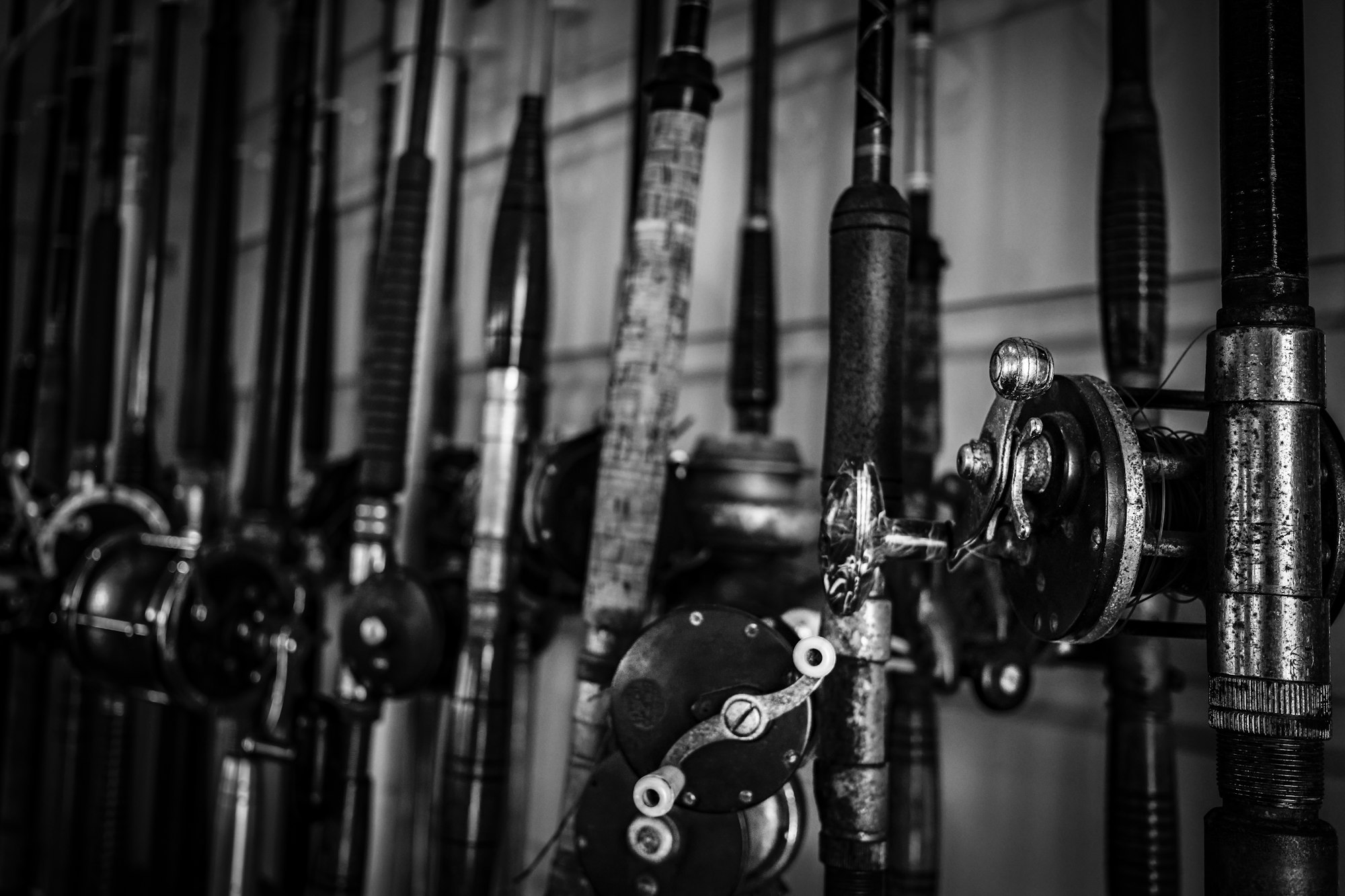 A row of fishing rods and reels in a dark room