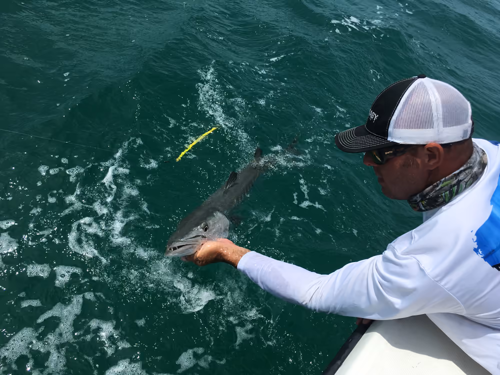 An angler releasing a shark beside the boat