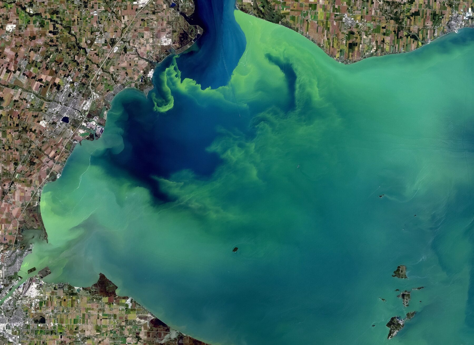 Discolored water from an algae bloom